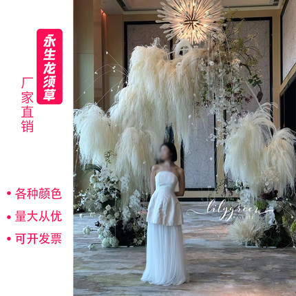 龙须草永生花梦幻羽毛草干花婚庆装饰软装花艺悬挂花材吊米文竹真