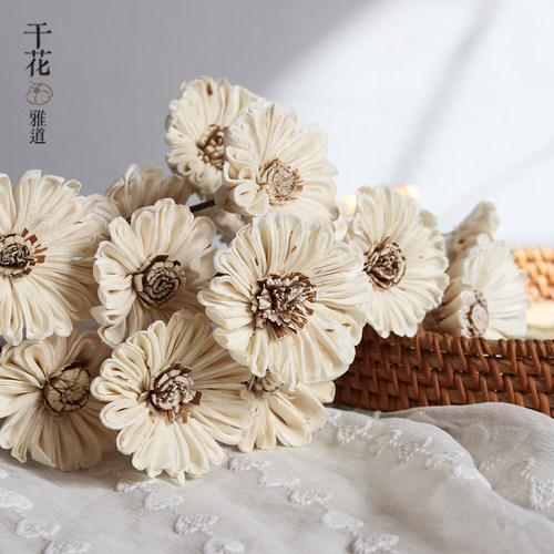 手工大朵通草花菊花家插花