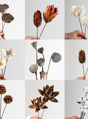 手工干花真花迷你花束客厅家居摆件混搭自然侘寂风莲蓬棉花通草花