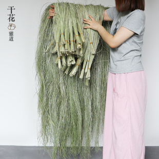 水烛叶丝水蜡叶干花花束垂挂型花艺装置美陈花材装饰材料婚礼装饰