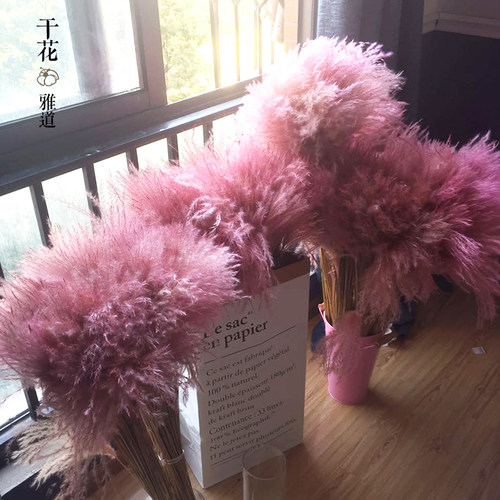 干花雅道ins同款粉色影楼拍摄