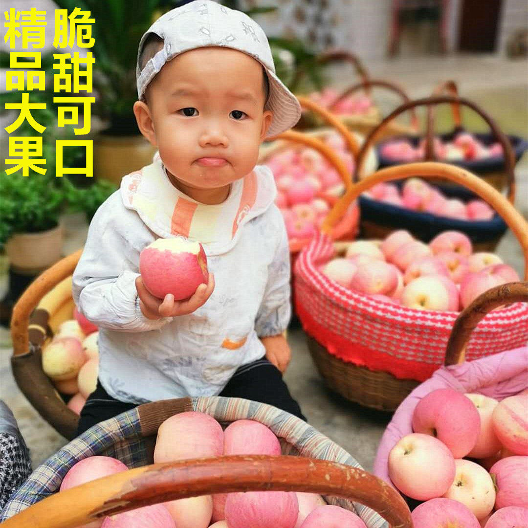 陕西精品新鲜红富士皮薄味浓