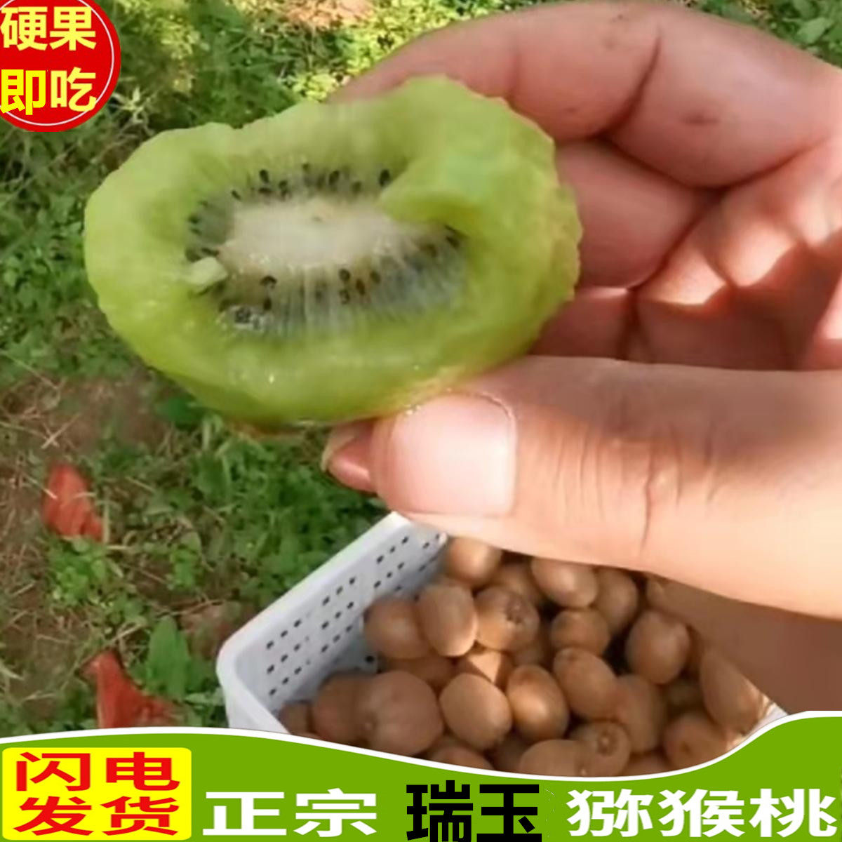 硬果即食陕西眉县周至瑞玉香猕猴桃 比肩翠香奇异果新鲜孕妇水果,水产肉类/新鲜蔬果/熟食,奇异果/猕猴桃,淘宝优惠券,粉丝福利购,淘宝优惠卷