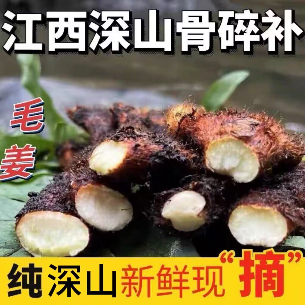 贵州新鲜深山骨碎补爬岩姜新鲜现摘石岩姜接骨猴姜毛姜肉碎补500g