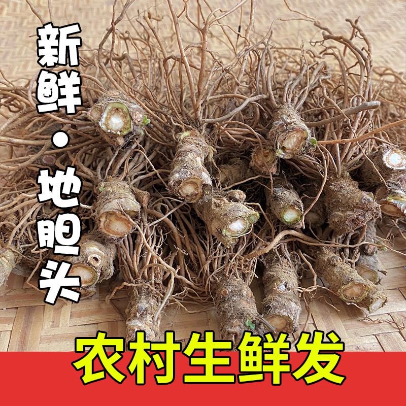 广东野生地胆草新鲜地胆头全颗农村山货煲汤药材苦地胆理肺散包邮