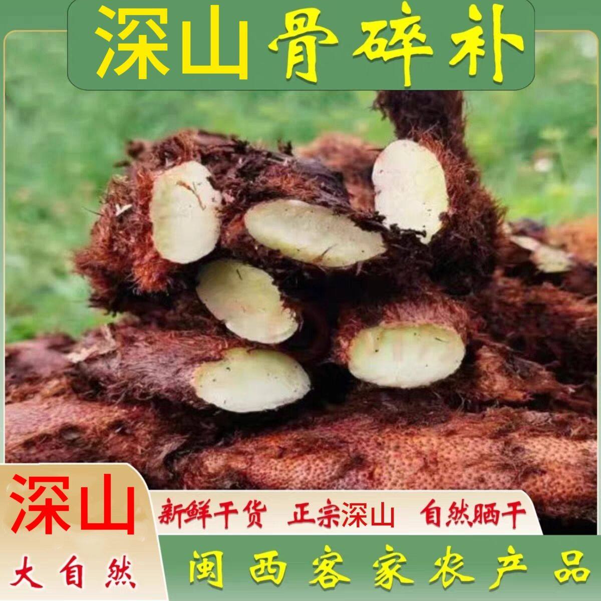 贵州大山新鲜骨碎补毛姜爬岩姜石岩姜接骨 生鲜 包邮巴岩姜 现采