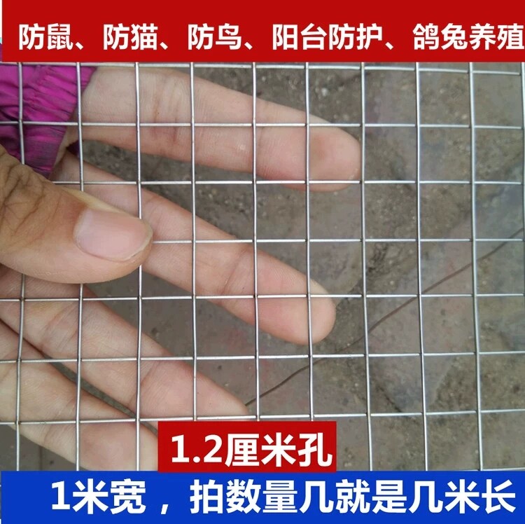 热镀锌钢丝网防老鼠铁丝网养殖养鸡网养鸽子防鸟阳台防护防猫网