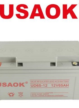 USAOK蓄电池UD65-12/12V65AH适用UPS后备电源太阳能电力设备