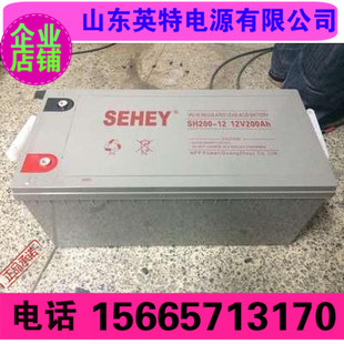 西力铅酸蓄电池12V200AH 12V180AH SEHEY蓄电池 电力直流屏专用