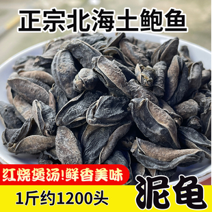 泥龟干土鲍鱼干北海深海天然海鲜干货100g煲汤煮粥营养品纯手工