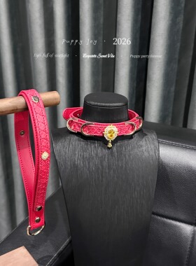 PuppyJoy「红色契约」项链颈带项圈小众男女choker项圈手工定制