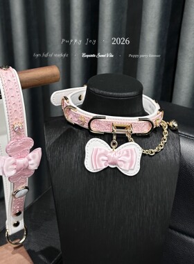 PuppyJoy「甜心小姐」项链颈带项圈小众男女choker项圈手工定制