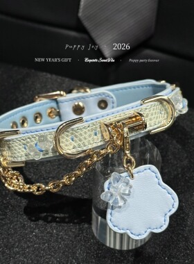 PuppyJoy独家「天空信笺」蜥蜴皮chocker项圈高级手工定制
