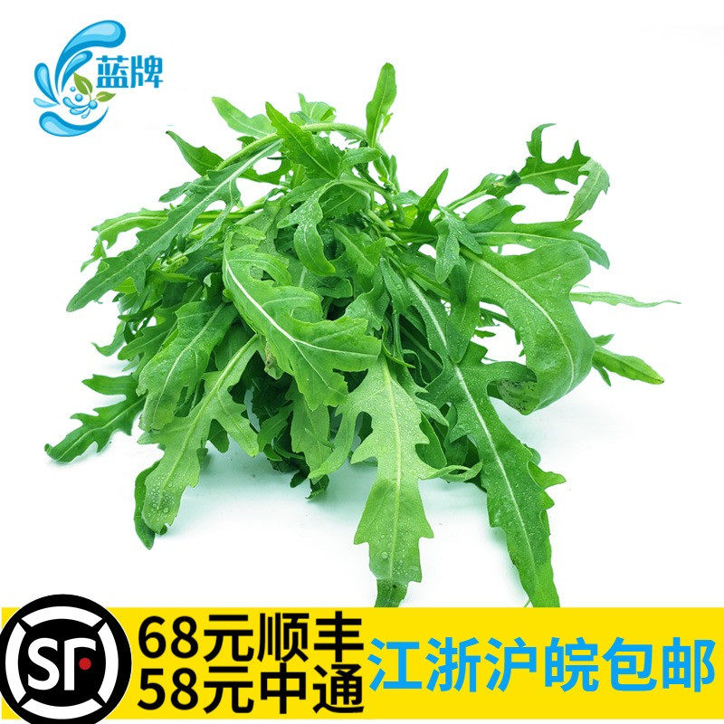 【蓝牌】新鲜小芝麻菜arugula 火箭菜 西餐酒店摆盘 沙拉菜500g