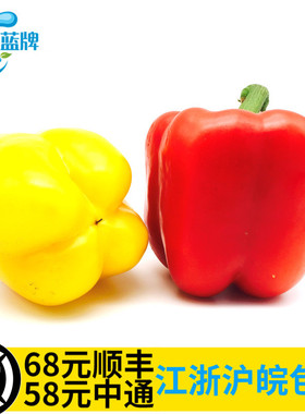 【蓝牌】新鲜红黄绿彩椒Red Peppers甜椒圆椒柿子椒灯笼椒 2斤