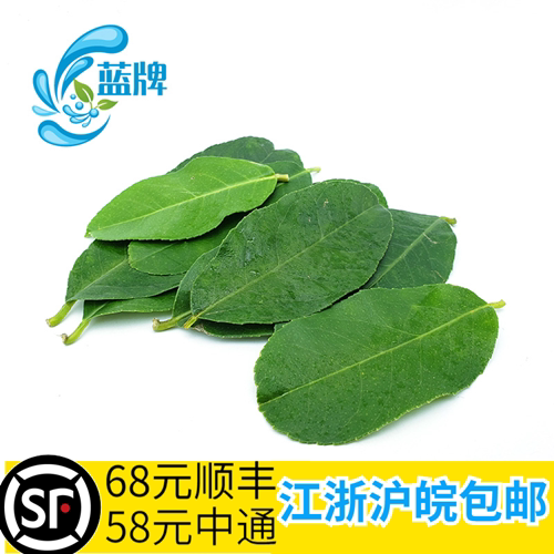 【蓝牌】新鲜纯柠檬叶橘子30片