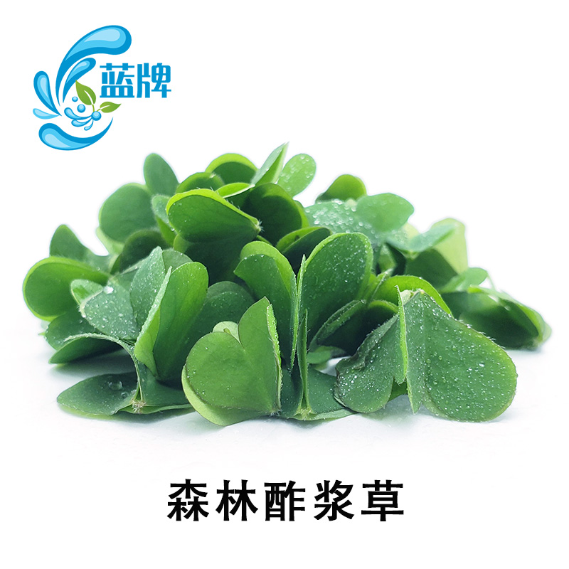 【蓝牌】新鲜森林醡浆草 日料西餐装饰摆盘30片