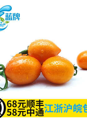 【蓝牌】新鲜黄樱桃小番茄 黄圣女果Orange Cherry tomatoes
