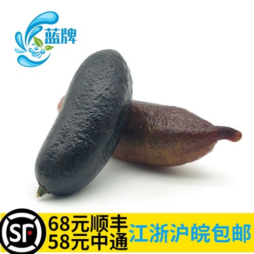 新鲜指橙手指柠檬水果西餐