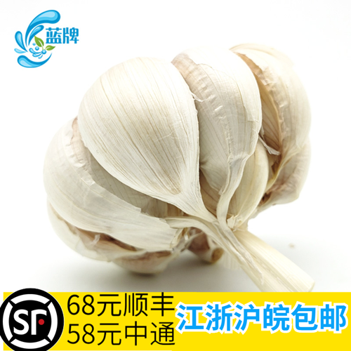 香料 辅料西餐配料