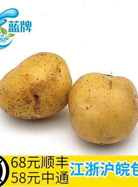 【蓝牌】迷你小土豆 Skin Potatoes黄心马铃薯洋芋 西餐用500g