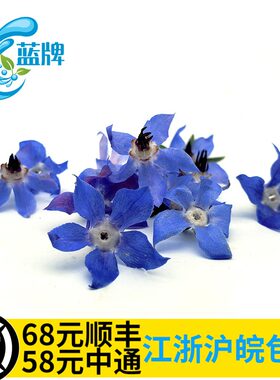 【蓝牌】新鲜琉璃苣餐饮