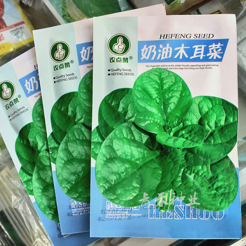 耐热奶油木耳菜种籽阳台蔬菜种子