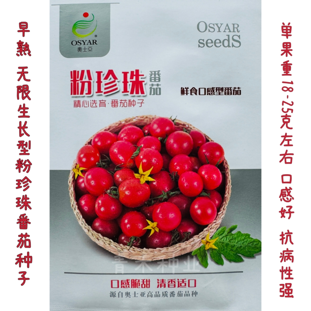 粉珍珠番茄种子无限生长型粉红小番茄种籽口感脆甜圣女果千禧柿子