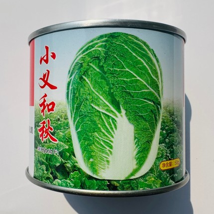 小义和秋大白菜种子农家秋播丰产结球白菜种籽山东青岛杂交蔬菜种