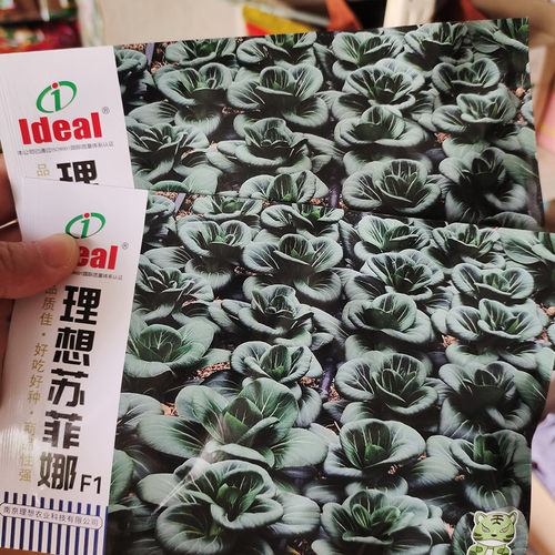 理想苏菲娜青菜种子耐热耐寒春秋季黑马杂交一代青梗菜小白菜种籽