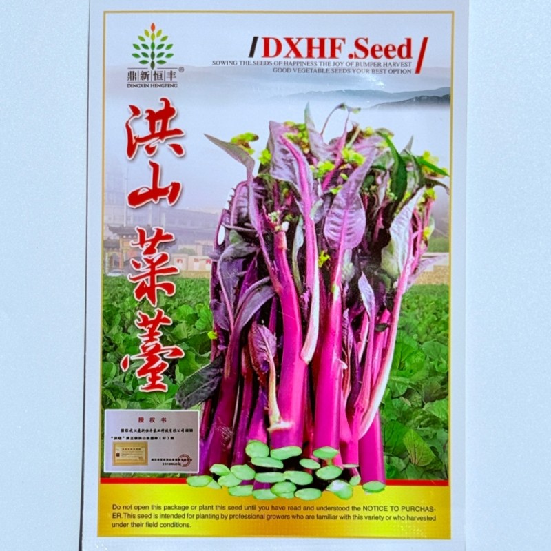 洪山菜薹种子红菜苔种籽农家秋播中晚熟高产紫红色菜薹蔬菜种孑籽