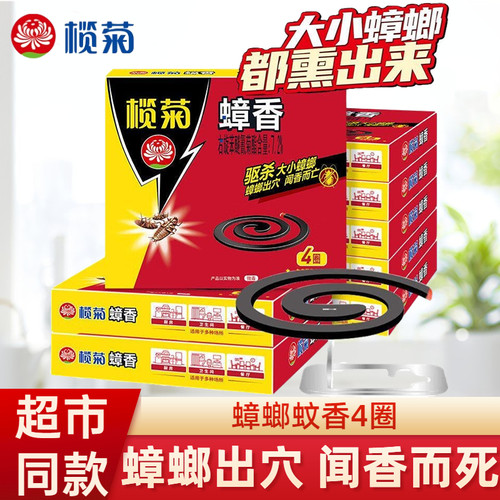 榄菊蟑香4圈有效驱杀大小蟑螂