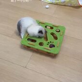 小猫玩具猫玩具自嗨解闷神器小猫宠物猫咪益智迷宫掏洞毛毡盒子逗