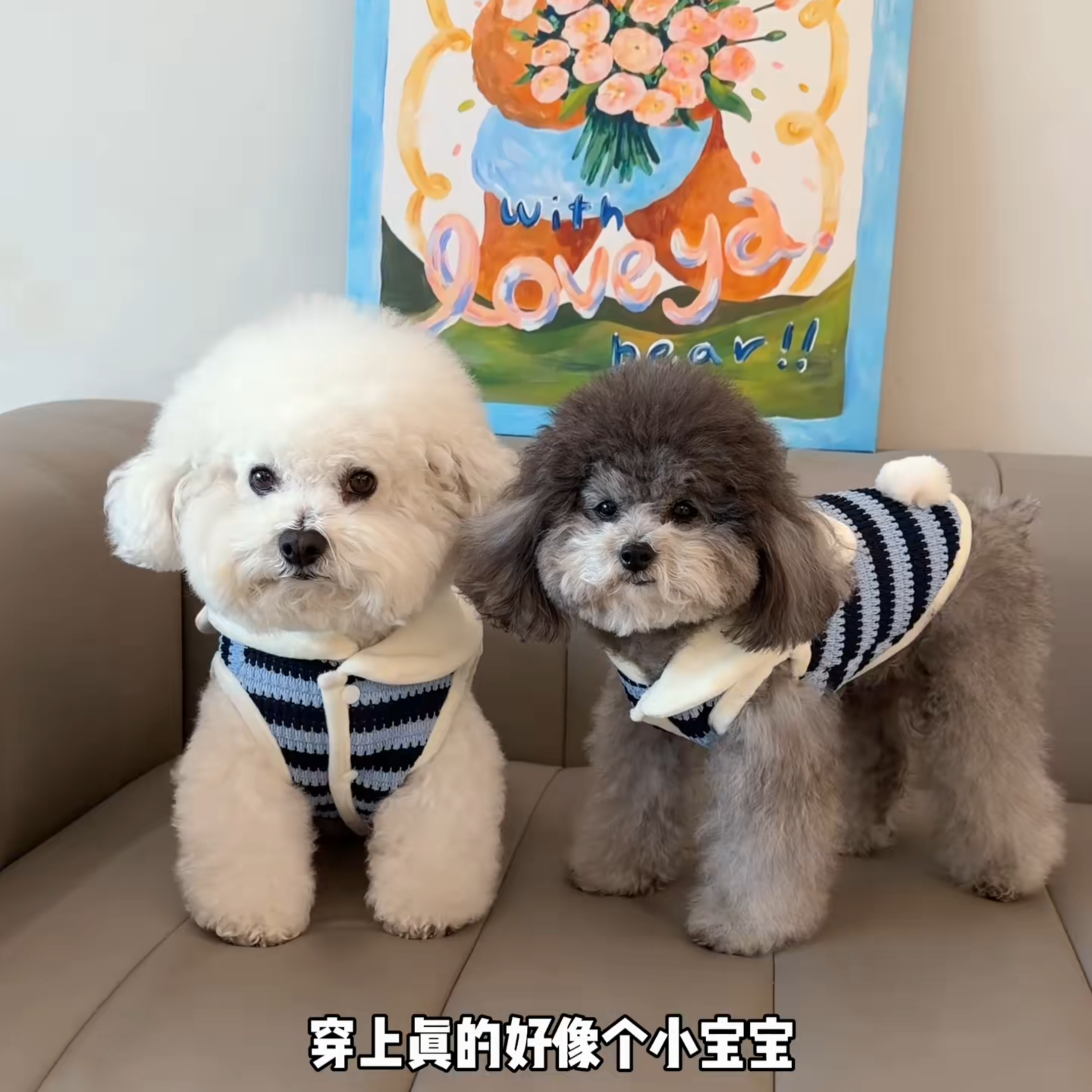 狗狗衣服小狗衣服可牵引猫咪小型犬冬装加厚保暖2025新款宠物马甲,畜牧/养殖物资,畜牧防寒衣/保暖衣/保温马甲,淘宝优惠券,粉丝福利购,淘宝优惠卷
