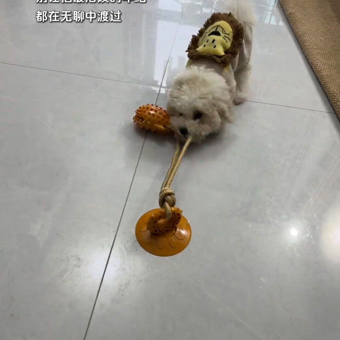 宠物狗狗玩具吸盘漏食拉力耐咬磨牙解闷神器大型犬小狗玩具批发热