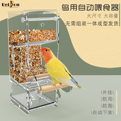 鹦鹉喂食器自动玄凤虎皮牡丹