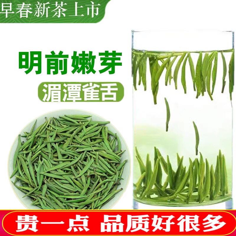 湄潭翠芽2024新茶春茶贵州绿茶明前特级雀舌茶叶香浓礼盒散装250g