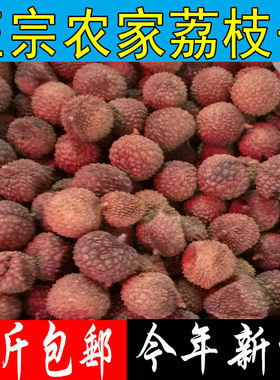 新货荔枝干 高州老树桂味白糖罂荔枝干 天然生晒荔枝500克包邮