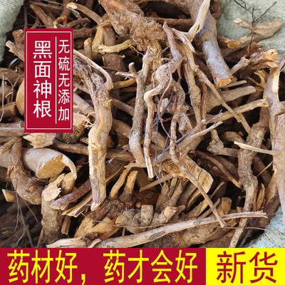 包邮中药材野生鬼画符根 黑面神根 四季青根