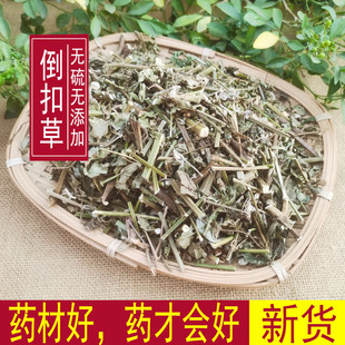 包邮 倒扣草(500g)中药材 野生牛舌大黄 土牛膝 倒钩草