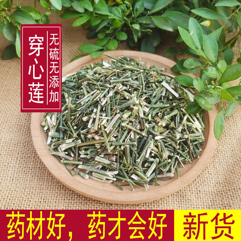 包邮 中药材穿心莲 500g 干穿心莲 穿心莲 可磨穿心莲粉