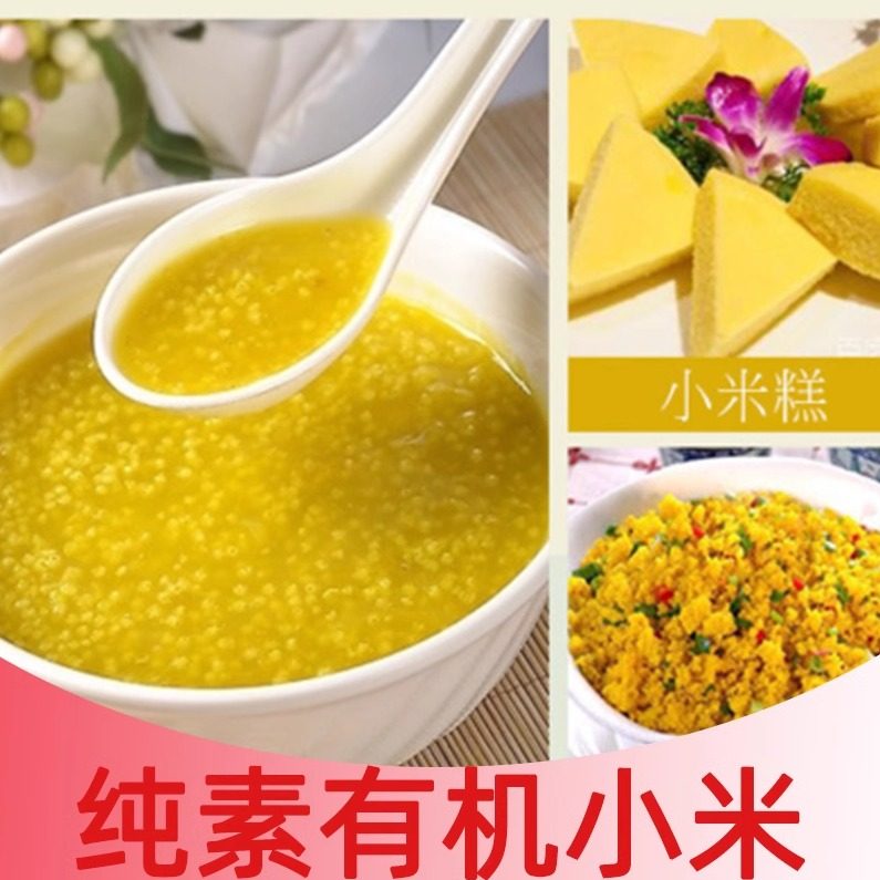 纯素有机小米菩提树五谷杂粮黄小米月子熬粥小黄米粥500g