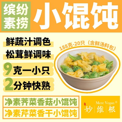 纯素鲜汤小馄饨蔬菜植物云吞