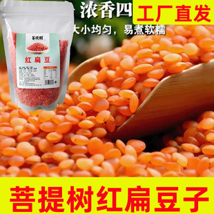 菩提树红扁豆纯素红豆土耳其宝宝豆红小扁豆番茄豆马粟豆五谷杂粮