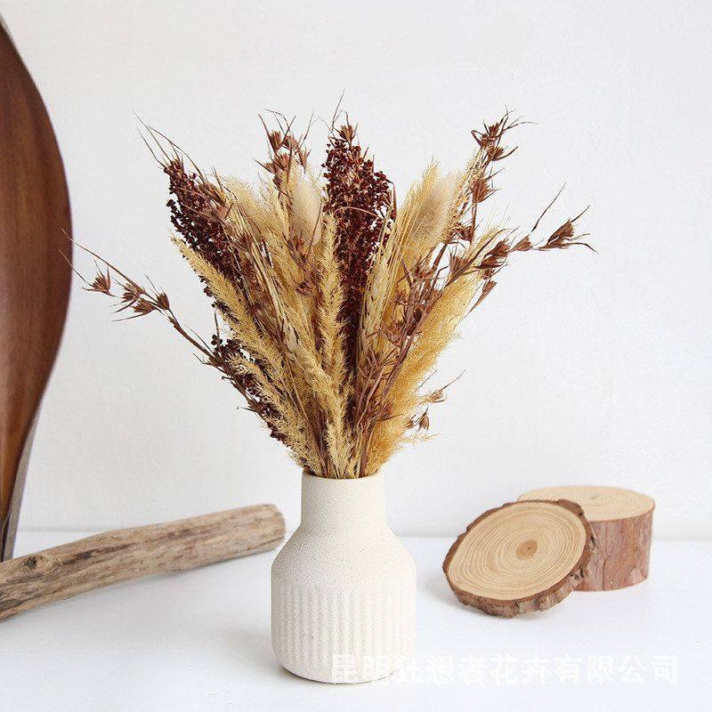金丝干花插瓶家居狂想摆件混搭花束兔尾草者样板房芦苇软装,鲜花速递/花卉仿真/绿植园艺,干花,淘宝优惠券,粉丝福利购,淘宝优惠卷
