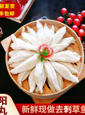 衡阳特产土头碗手打草鱼丸