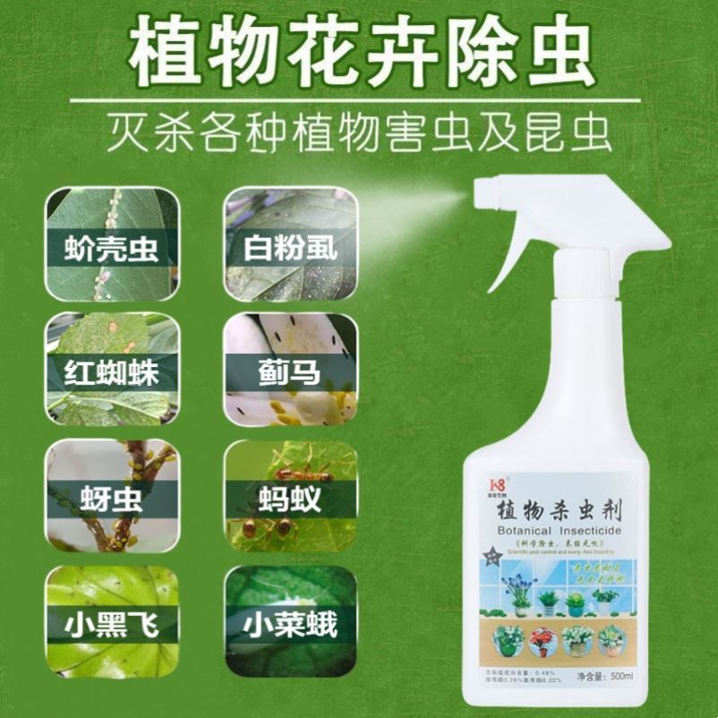 杀虫剂家用室内无毒花卉植物农药土壤多肉蚜虫小白臭虫蚂蚁月季花