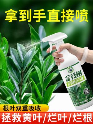 发财树营养液专用肥花肥料室内盆栽植物金钱树土水培通用绿植家用