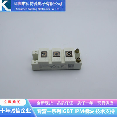SKM195GB066D变频器配件IGBT模块全新195A-600V原装质量保证直拍