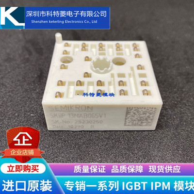 SKIIP12NAB065V1模块变频器配件